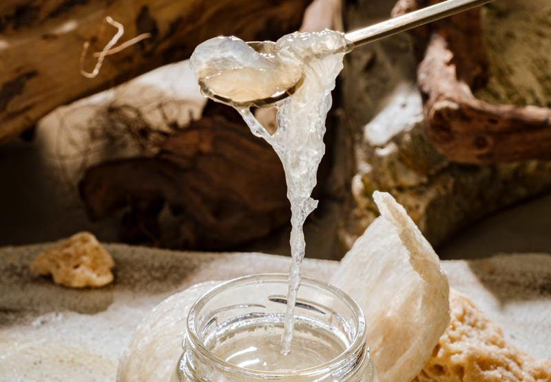 Jar of freshly double-boiled premium bird's nest with a spoon being lifted, surrounded by natural elements.